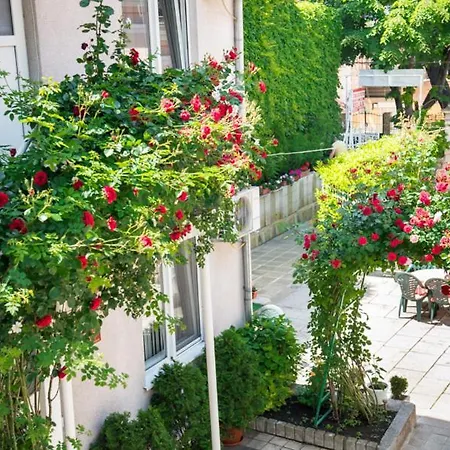 Apartment за гости